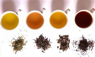 各地的茶叶品种