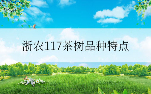 浙农117茶树品种特点