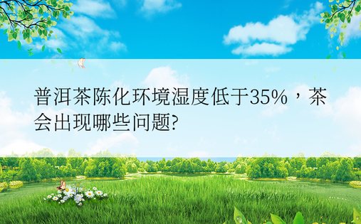 普洱茶陈化环境湿度低于35%，茶会出现哪些问题?