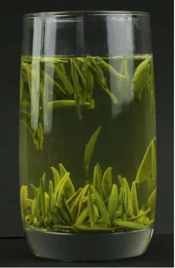茶树品种基因研究的最新进展