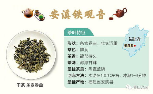传统与现代茶叶品种的对比研究