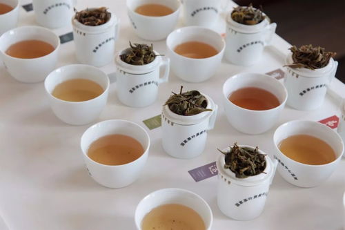 年份茶的熟化过程与品鉴