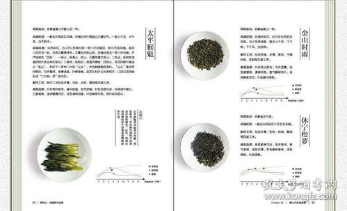 各地方名茶的品种档案整理