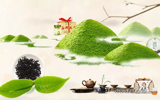 传统茶叶分为几大类