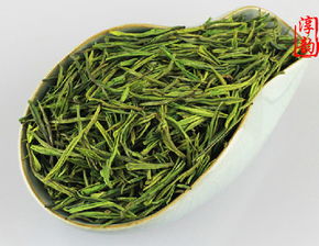 安吉白茶从种植到产茶要几年