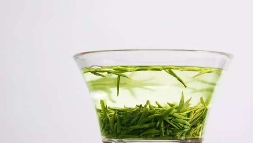 高山绿茶与平地绿茶的品质区别