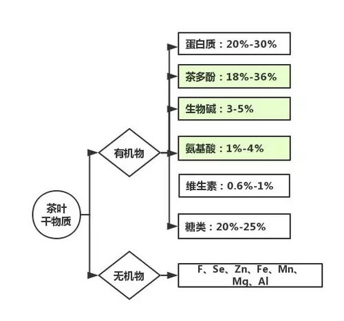 年份茶的熟化过程与品鉴的关系是