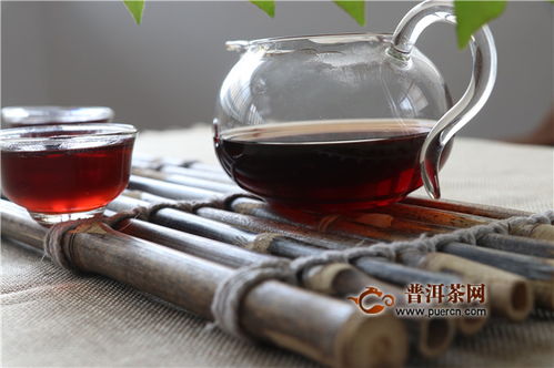 古树茶怎么样?