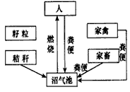 什么是生态种植能做到吗