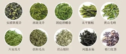 中国历史十大名茶排名