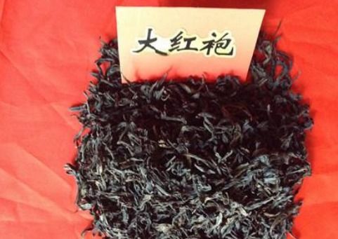 中国最珍贵的茶和茶树是哪种