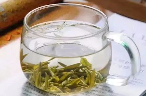 名贵茶树品种排名