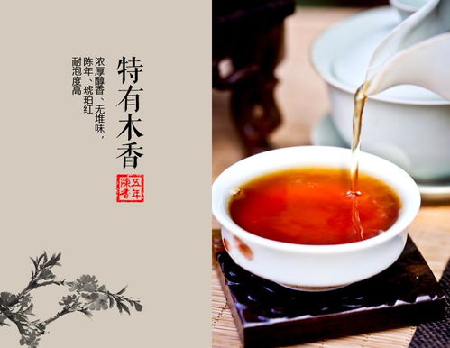 陈年老茶属于什么茶