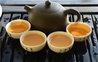 茶叶新品种保护现状与最新进展研究