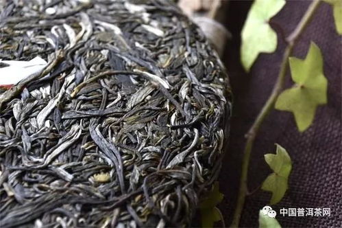 古树茶十大名牌排行榜